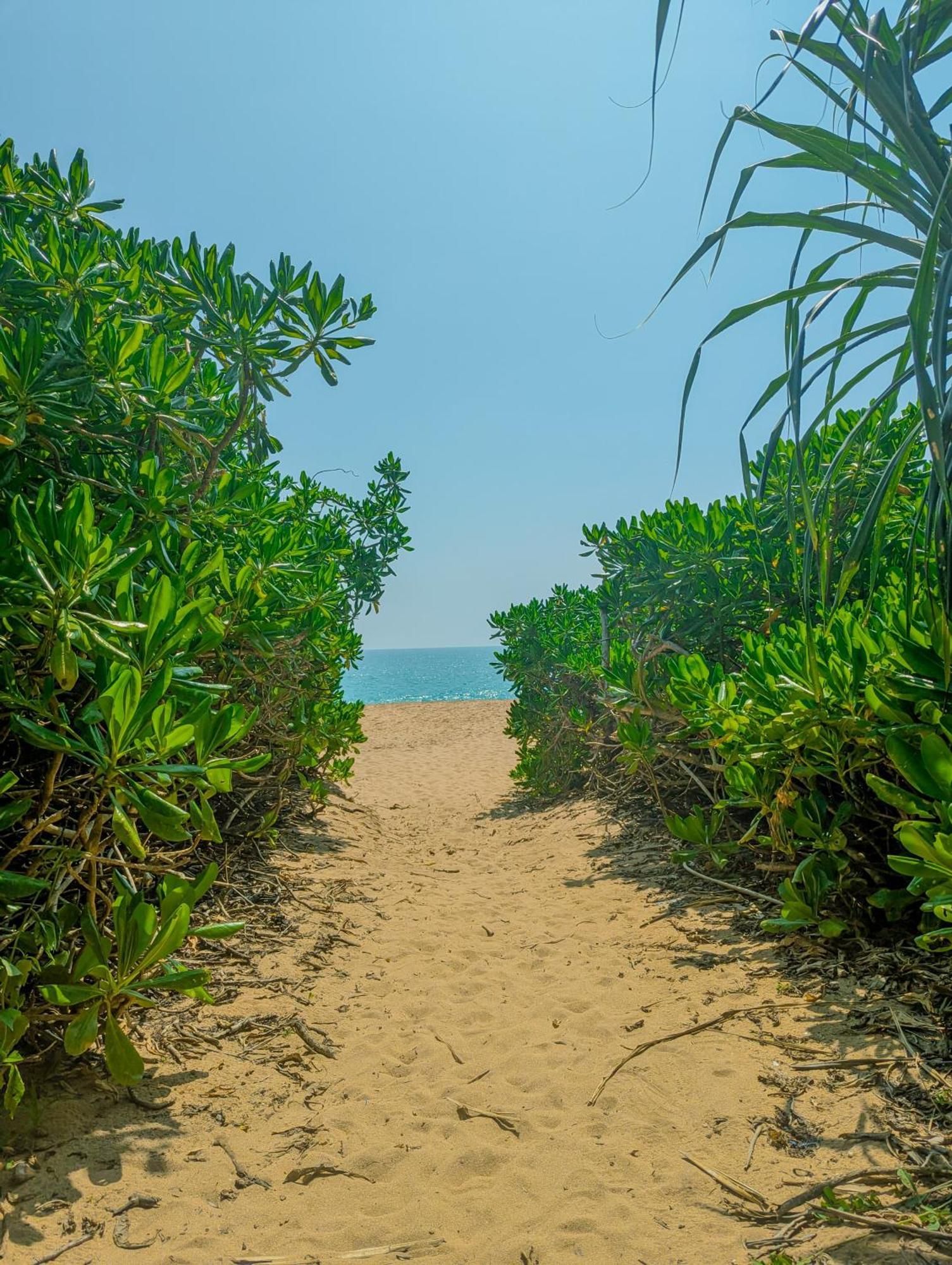 Southern Edge Cabanas Tangalle Exteriör bild