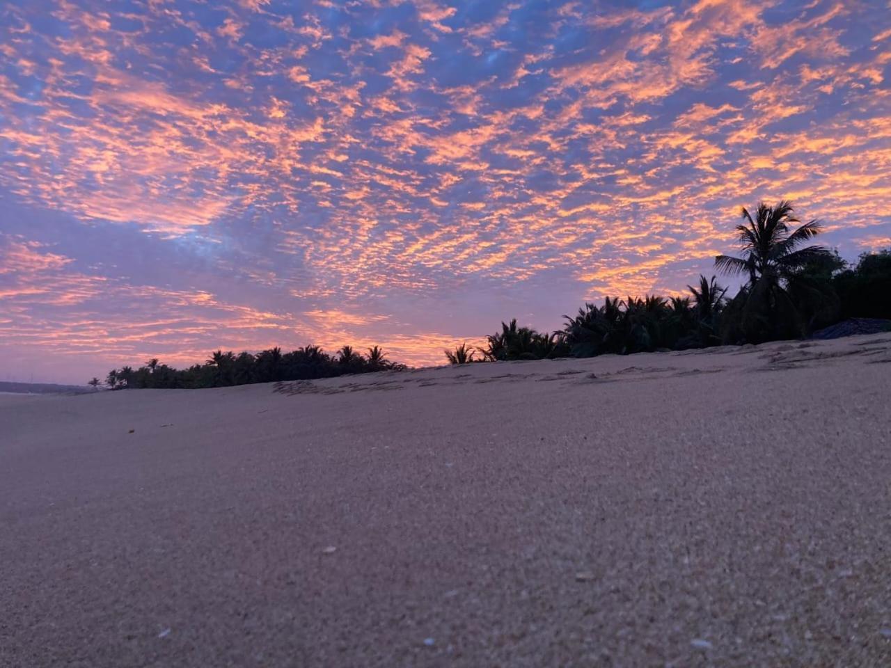 Southern Edge Cabanas Tangalle Exteriör bild