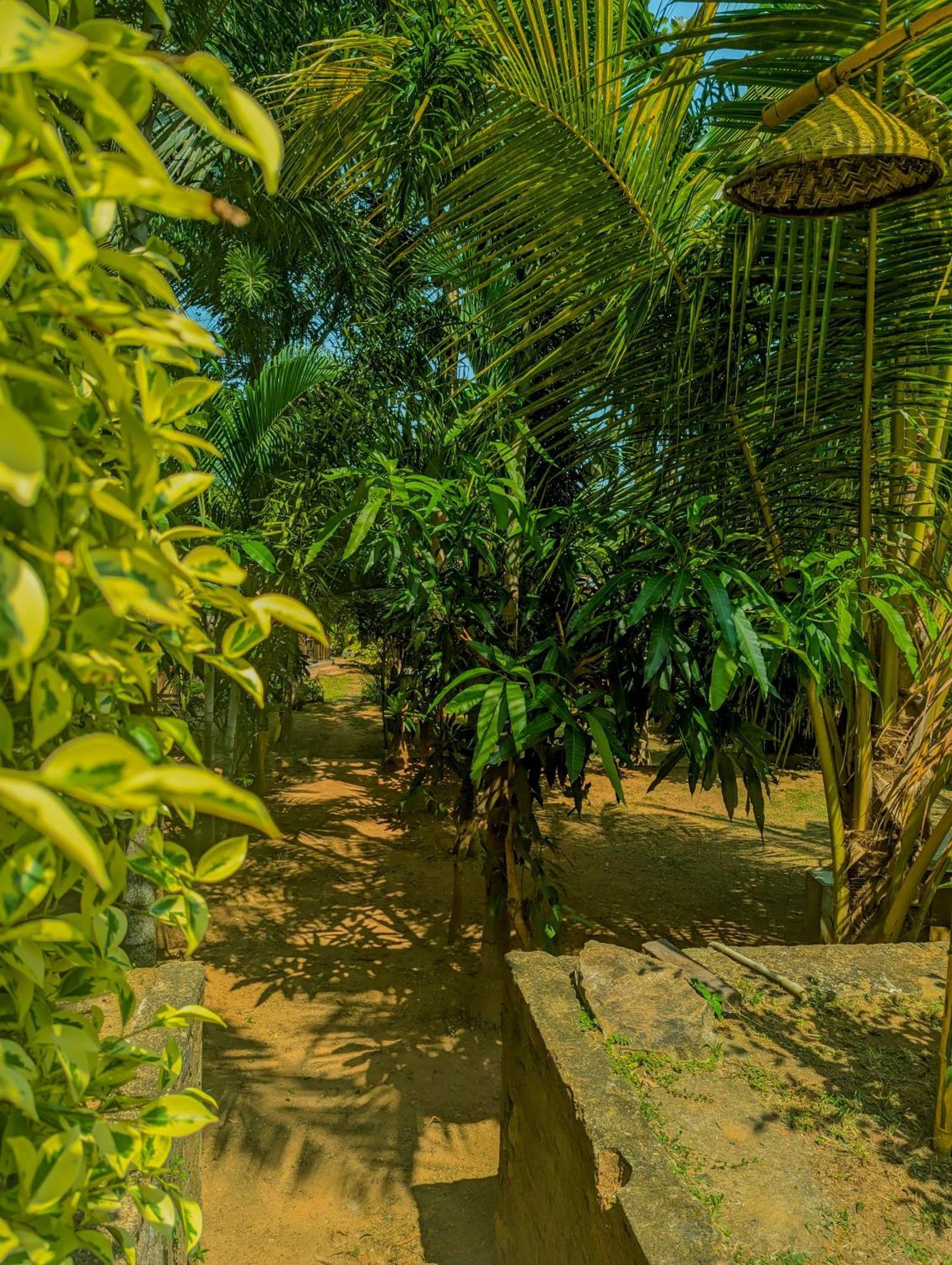 Southern Edge Cabanas Tangalle Exteriör bild